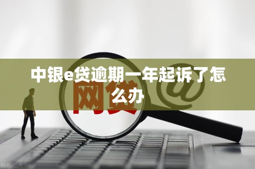 中银e贷逾期一年起诉了怎么办