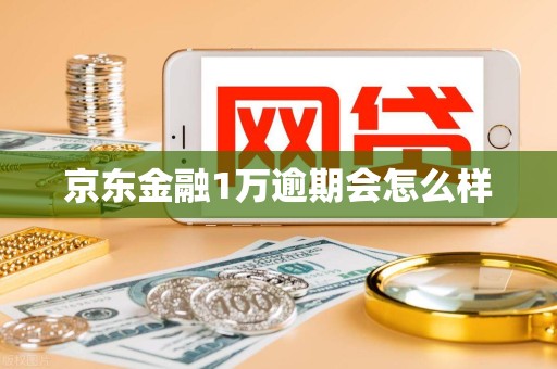 京东金融1万逾期会怎么样