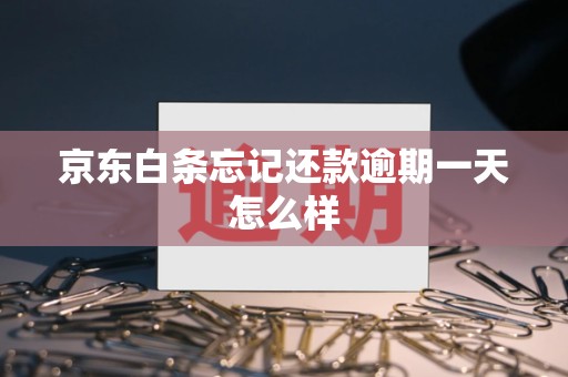 京东白条忘记还款逾期一天怎么样 京东白条忘记还款逾期一天怎么样