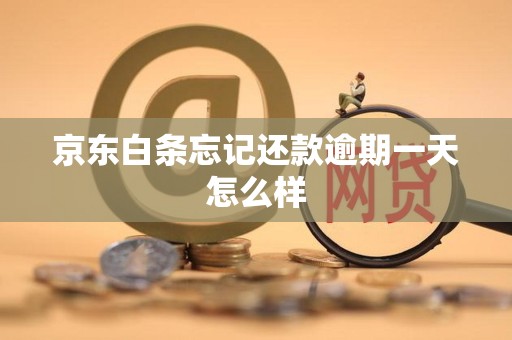 京东白条忘记还款逾期一天怎么样 京东白条忘记还款逾期一天怎么样