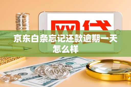 京东白条忘记还款逾期一天怎么样 京东白条忘记还款逾期一天怎么样