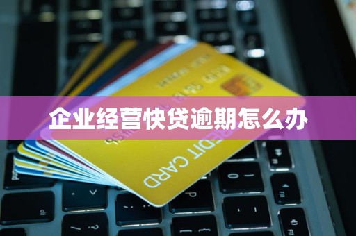 企业经营快贷逾期怎么办