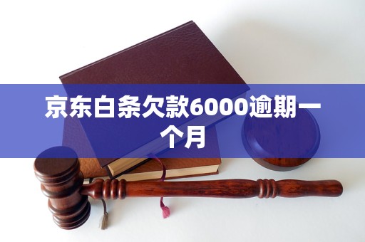 京东白条欠款6000逾期一个月