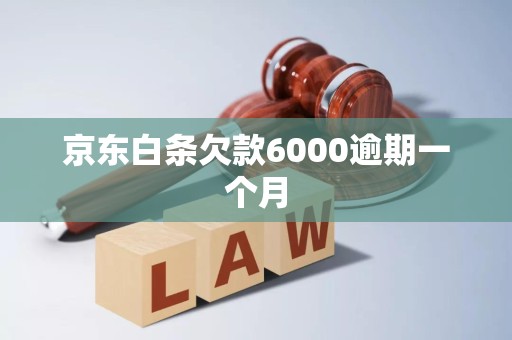 京东白条欠款6000逾期一个月
