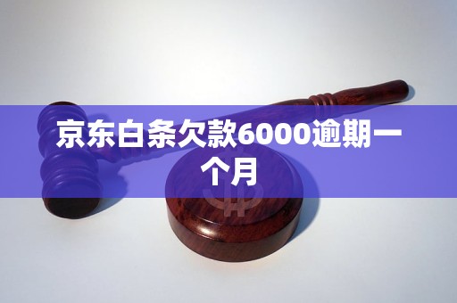京东白条欠款6000逾期一个月