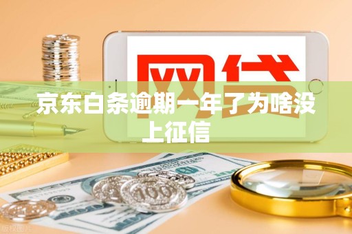 京东白条逾期一年了为啥没上征信