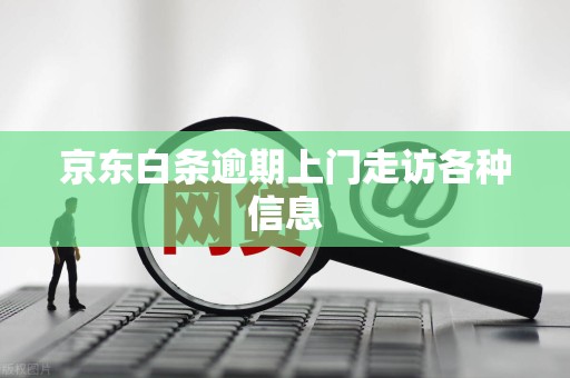 京东白条逾期上门走访各种信息