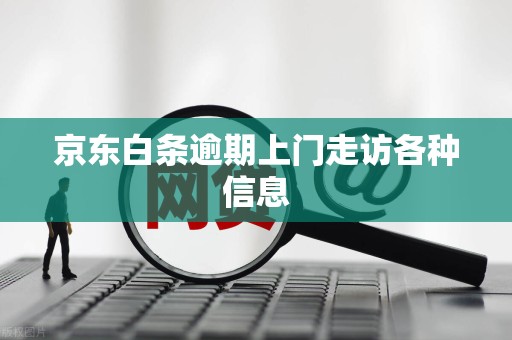 京东白条逾期上门走访各种信息