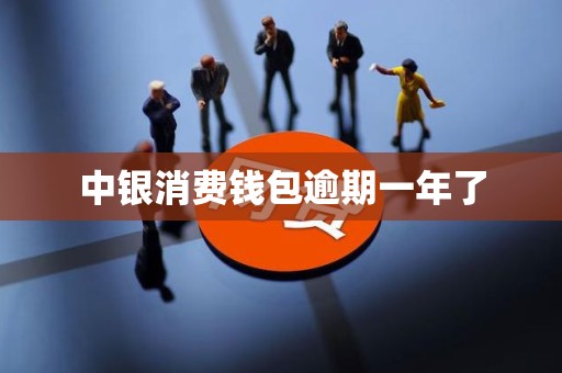 中银消费钱包逾期一年了 中银消费钱包逾期一年了