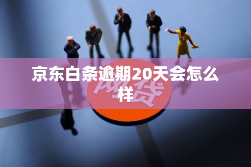 京东白条逾期20天会怎么样