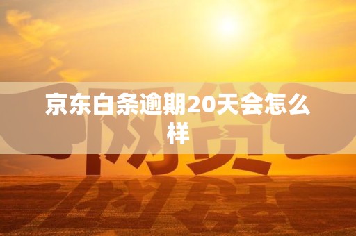 京东白条逾期20天会怎么样