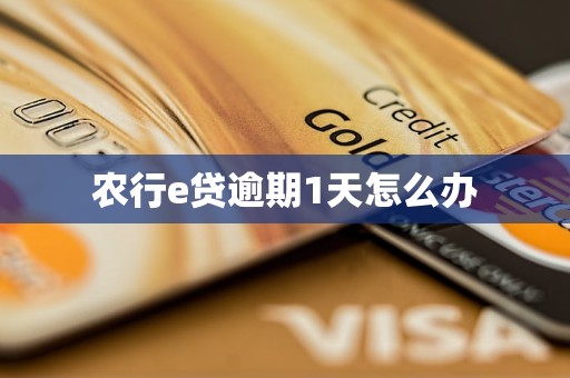 农行e贷逾期1天怎么办 农行e贷逾期1天怎么办