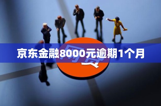 京东金融8000元逾期1个月