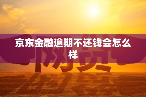京东金融逾期不还钱会怎么样