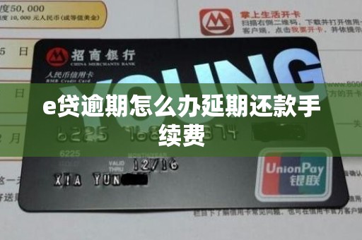 e贷逾期怎么办延期还款手续费