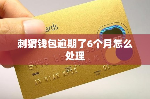 刺猬钱包逾期了6个月怎么处理 刺猬钱包逾期了6个月怎么处理