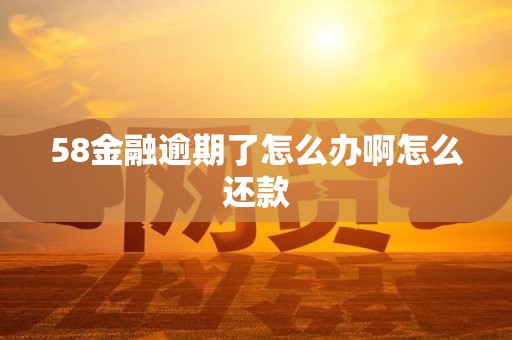 58金融逾期了怎么办啊怎么还款