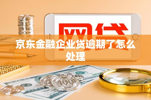 京东金融企业贷逾期了怎么处理 京东金融企业贷逾期了怎么处理