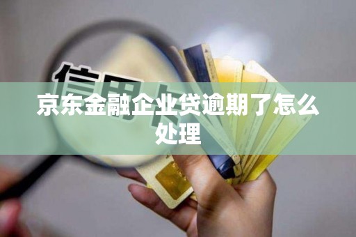 京东金融企业贷逾期了怎么处理 京东金融企业贷逾期了怎么处理
