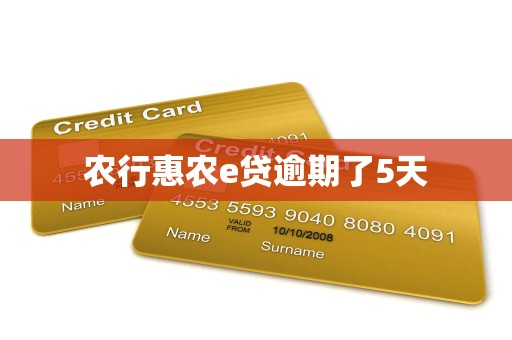 农行惠农e贷逾期了5天