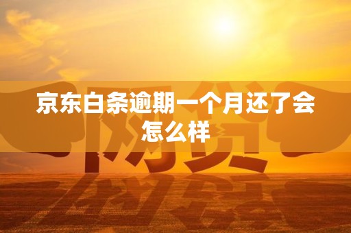 京东白条逾期一个月还了会怎么样