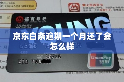京东白条逾期一个月还了会怎么样