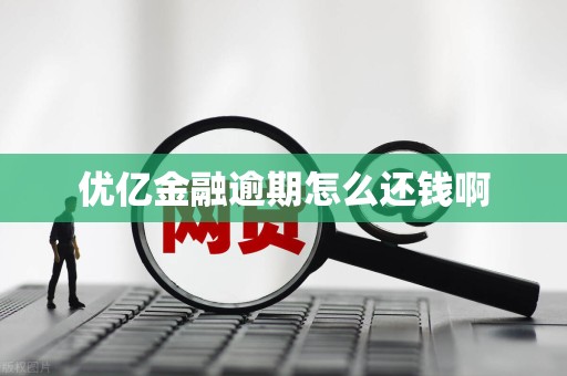 优亿金融逾期怎么还钱啊 优亿金融逾期怎么还钱啊