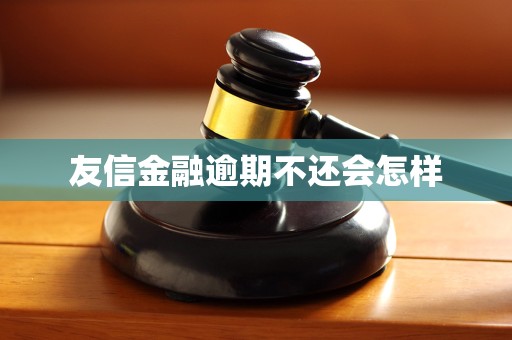 友信金融逾期不还会怎样