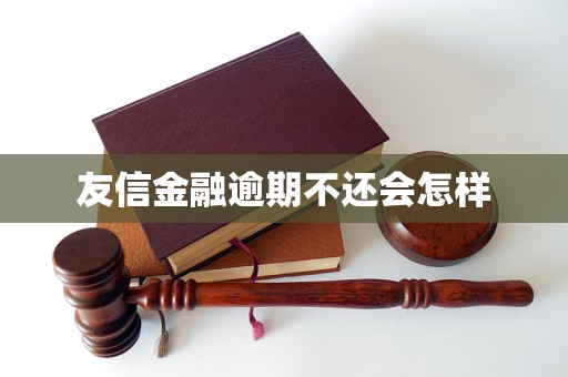 友信金融逾期不还会怎样