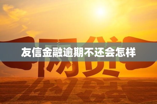 友信金融逾期不还会怎样