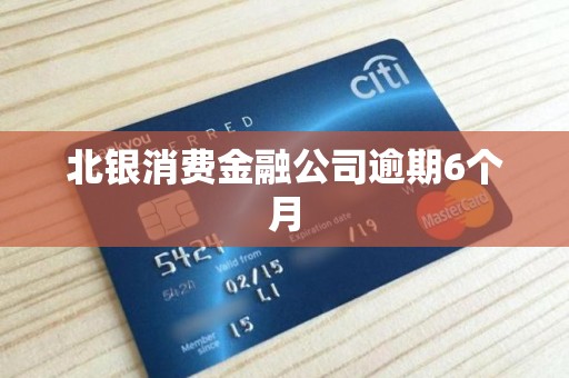 北银消费金融公司逾期6个月