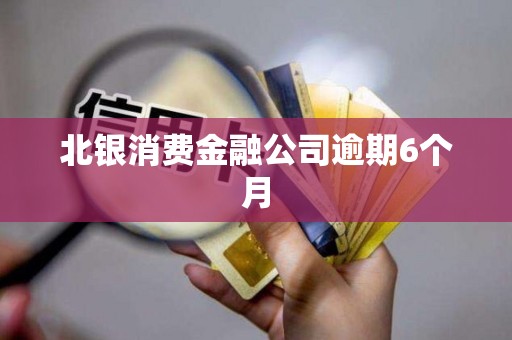 北银消费金融公司逾期6个月