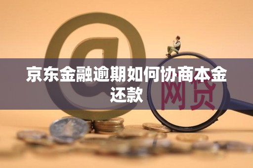 京东金融逾期如何协商本金还款 京东金融逾期如何协商本金还款