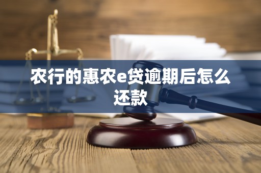 农行的惠农e贷逾期后怎么还款 农行的惠农e贷逾期后怎么还款