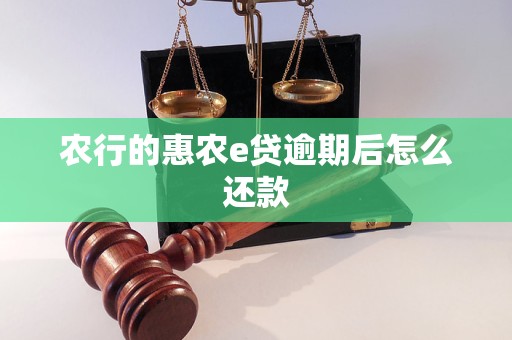 农行的惠农e贷逾期后怎么还款 农行的惠农e贷逾期后怎么还款