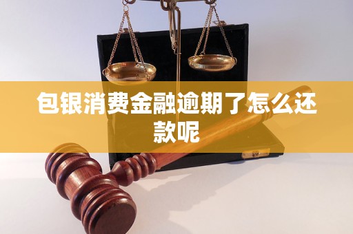 包银消费金融逾期了怎么还款呢 包银消费金融逾期了怎么还款呢