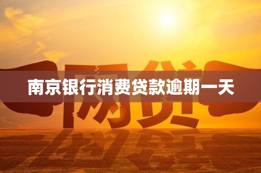 南京银行消费贷款逾期一天 南京银行消费贷款逾期一天