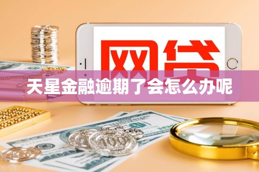 天星金融逾期了会怎么办呢