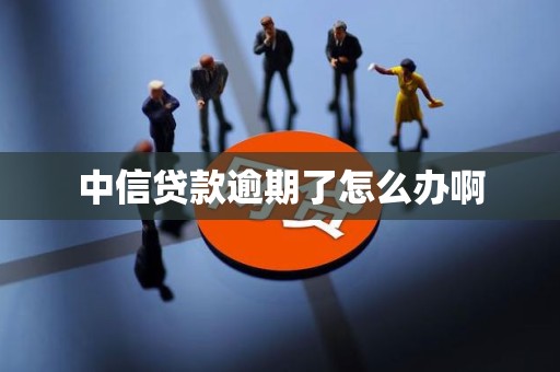 中信贷款逾期了怎么办啊