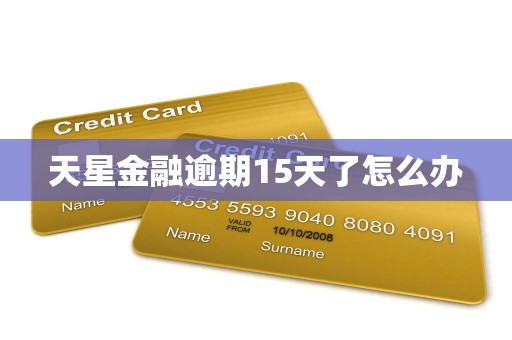 天星金融逾期15天了怎么办 天星金融逾期15天了怎么办