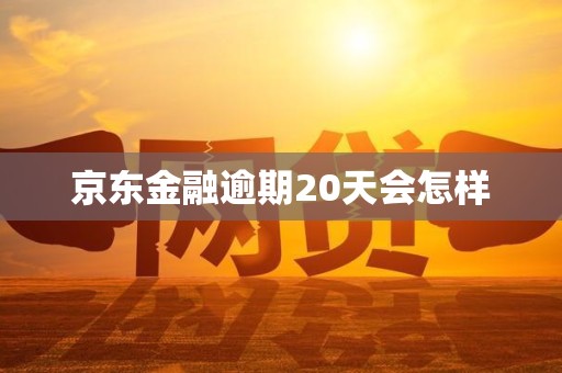 京东金融逾期20天会怎样 京东金融逾期20天会怎样