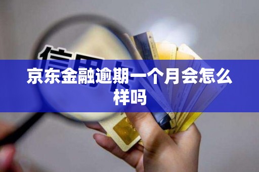 京东金融逾期一个月会怎么样吗 京东金融逾期一个月会怎么样吗