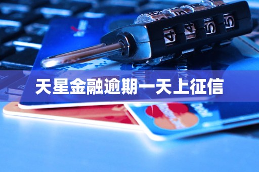 天星金融逾期一天上征信