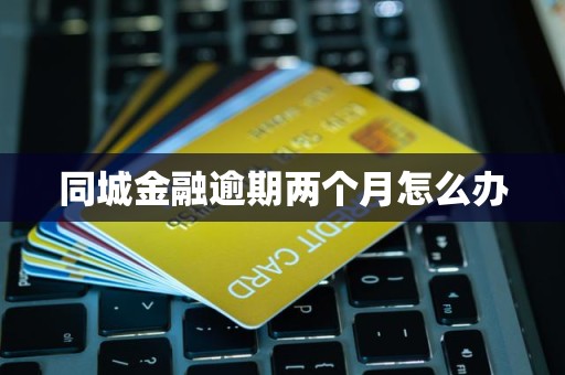 同城金融逾期两个月怎么办