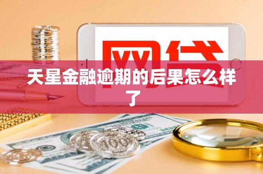 天星金融逾期的后果怎么样了