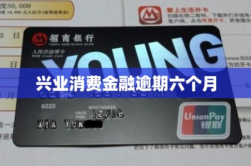 兴业消费金融逾期六个月