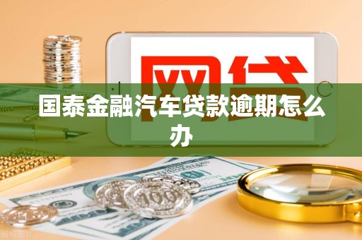 国泰金融汽车贷款逾期怎么办