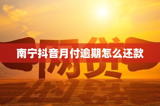 南宁抖音月付逾期怎么还款 南宁抖音月付逾期怎么还款