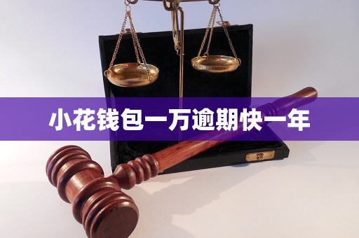 小花钱包一万逾期快一年