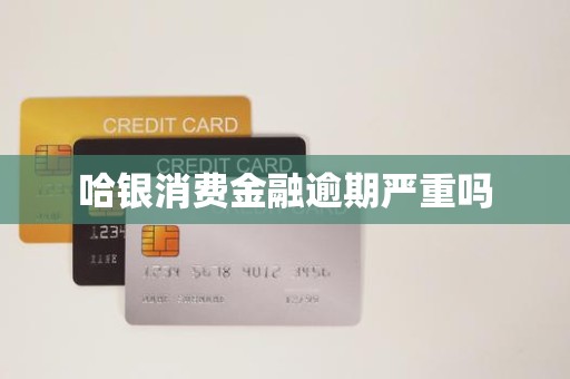 哈银消费金融逾期严重吗